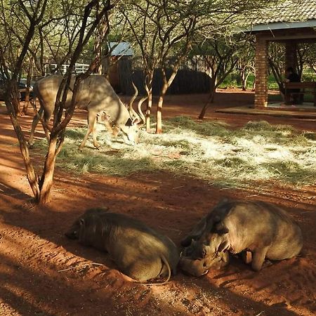462 Bosbok Chalets Marloth Park Exterior photo
